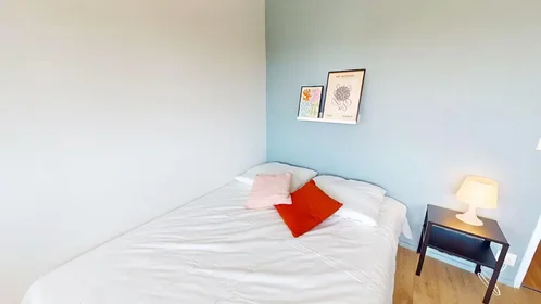 Stanza privata in Rue Professeur Patel, 9th Arrondissement, immagine 2 di 10