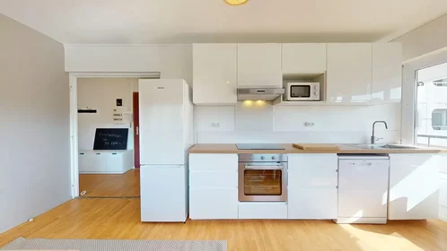 Stanza privata in Rue Professeur Patel, 9th Arrondissement, immagine 5 di 10
