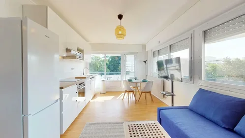Stanza privata in Rue Professeur Patel, 9th Arrondissement, immagine 6 di 10