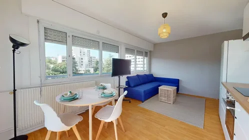 Stanza privata in Rue Professeur Patel, 9th Arrondissement, immagine 9 di 10