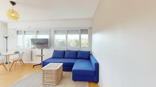 Stanza privata in Rue Professeur Patel, 9th Arrondissement, immagine 10 di 10