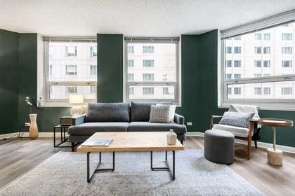Gesamte Unterkunft in der North Rush Street, River North, bild 1 von 10