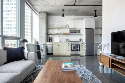 Apartamento inteiro em West Chicago Avenue, Near North, imagem 1 de 10