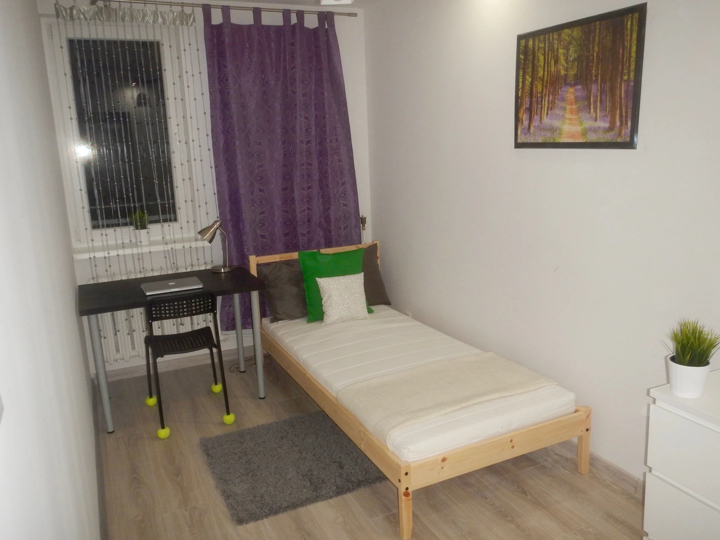 Pokój do wynajęcia z podwójnym łóżkiem w gdansk