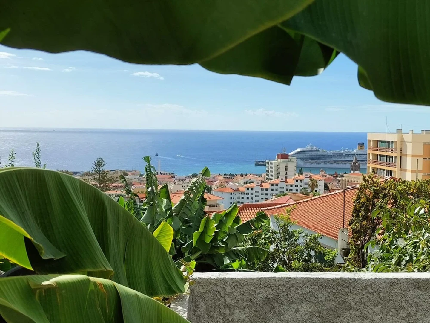 Accommodation with 3 bedrooms in Madeira