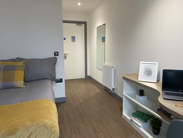 Room for rent in a shared flat in Belfast