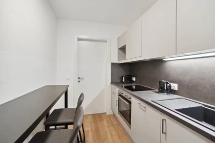 Stanza privata in Waagner-Biro-Straße, Lend, immagine 7 di 10
