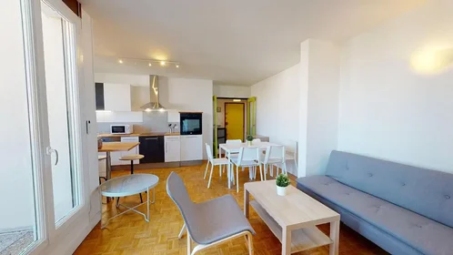 Stanza privata in Avenue Paul Santy, 8th Arrondissement, immagine 4 di 10