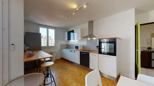 Stanza privata in Avenue Paul Santy, 8th Arrondissement, immagine 6 di 10