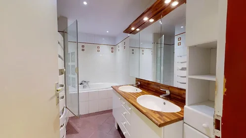 Stanza privata in Avenue Paul Santy, 8th Arrondissement, immagine 7 di 10