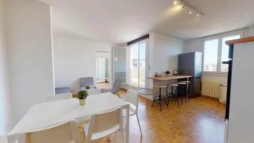 Stanza privata in Avenue Paul Santy, 8th Arrondissement, immagine 9 di 10