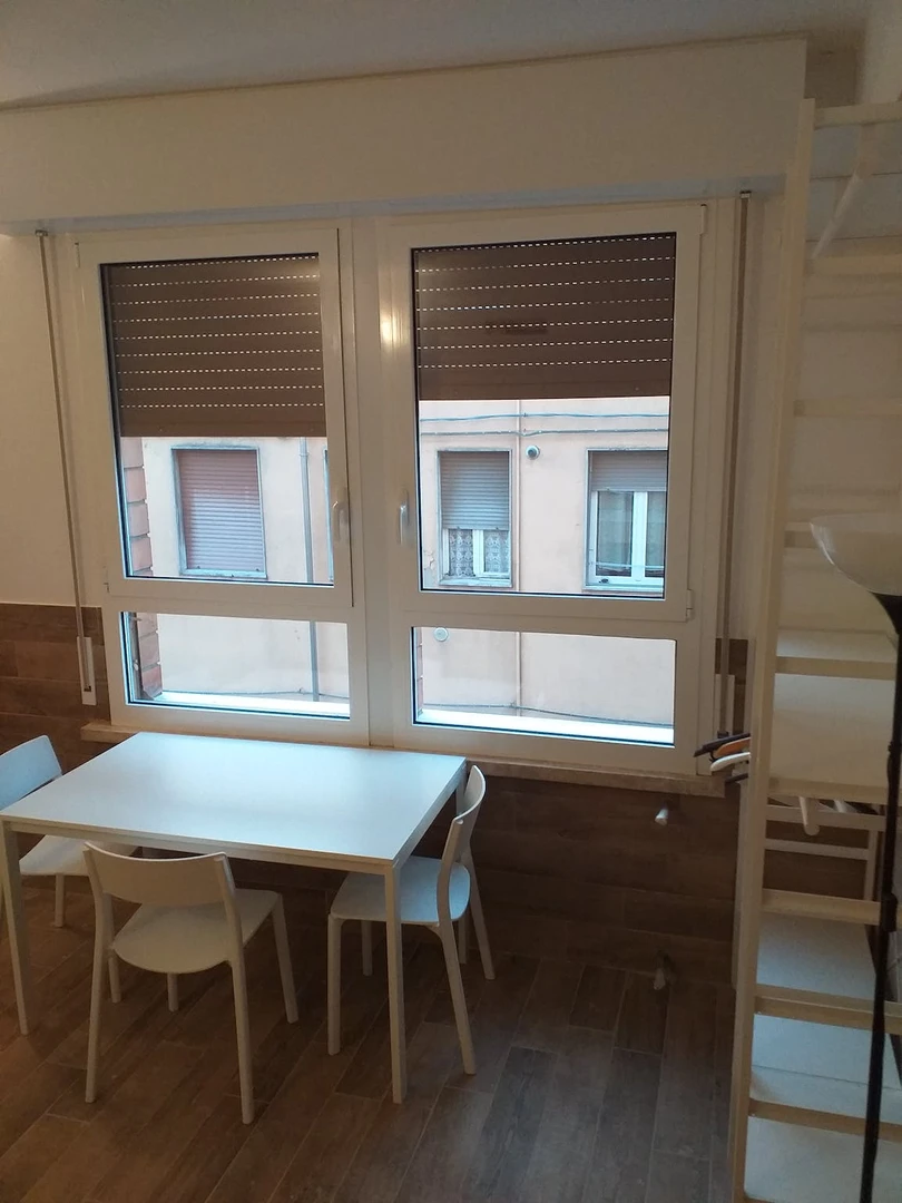 Entire fully furnished flat in Parma