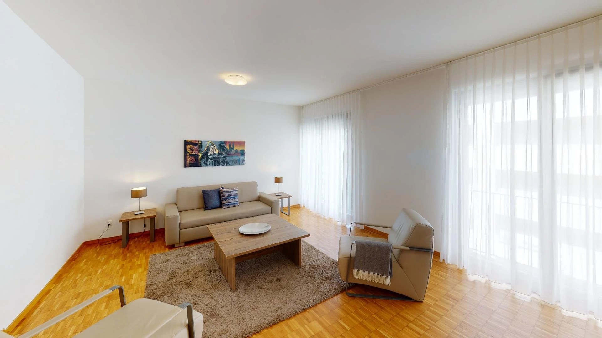 Entire fully furnished flat in Basel