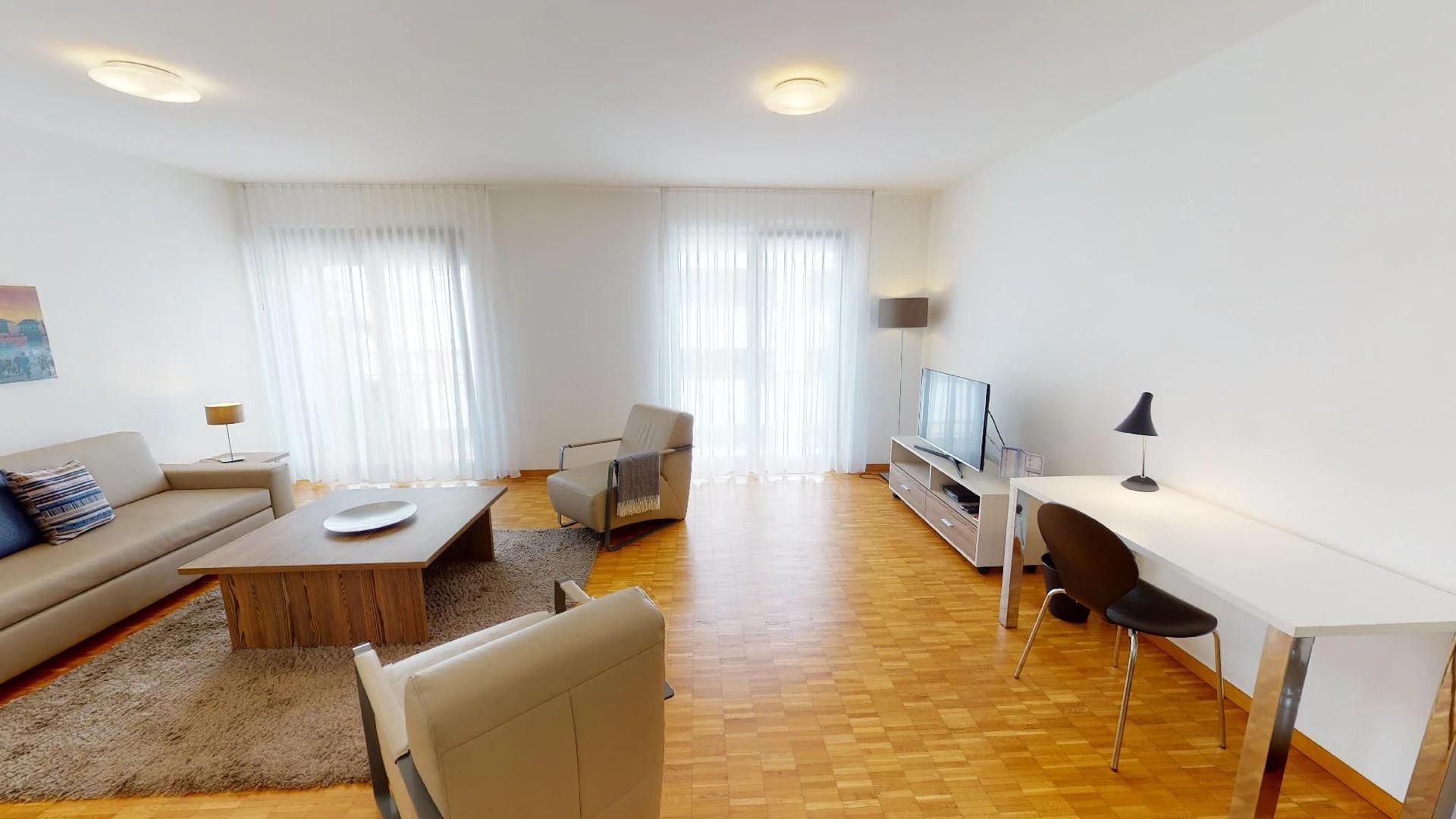 Entire fully furnished flat in Basel