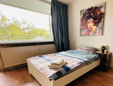 Furnished studio in Bonn