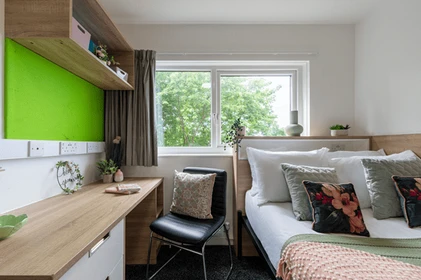 Alquiler de habitaciones por meses en Liverpool