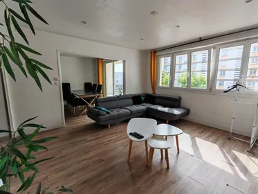 Habitación privada en Rue de Champagne, Bellevue, imagen 1 de 5