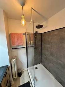 Private room at Rue du Périgord, Bellevue, image 6 of 7