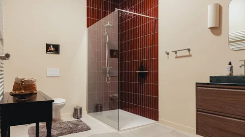 Quarto privado em Dambruggestraat, Antwerpen, imagem 9 de 10