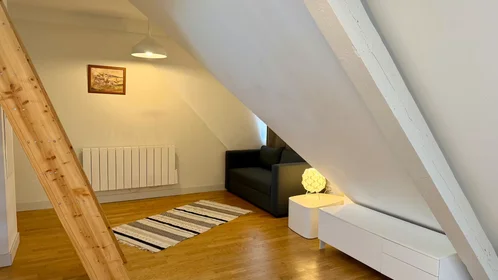 Alojamiento entero en Rue Kirstein, Conseil des XV, imagen 4 de 10