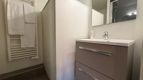 Alojamiento entero en Rue Kirstein, Conseil des XV, imagen 9 de 10
