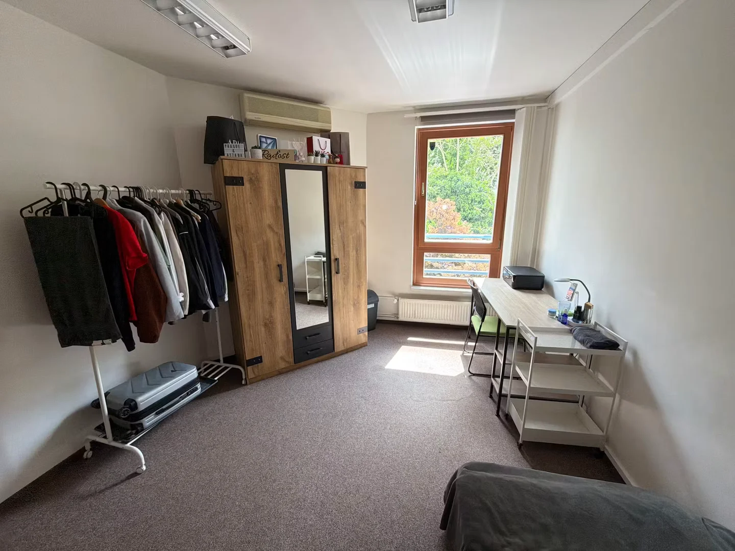 Affordable room for students with ample lighting in 