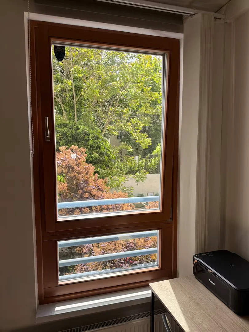 Budget-friendly student room close to campus in 