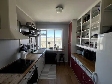 Toda a acomodação em Hringbraut, Vesturbær, imagem 5 de 8
