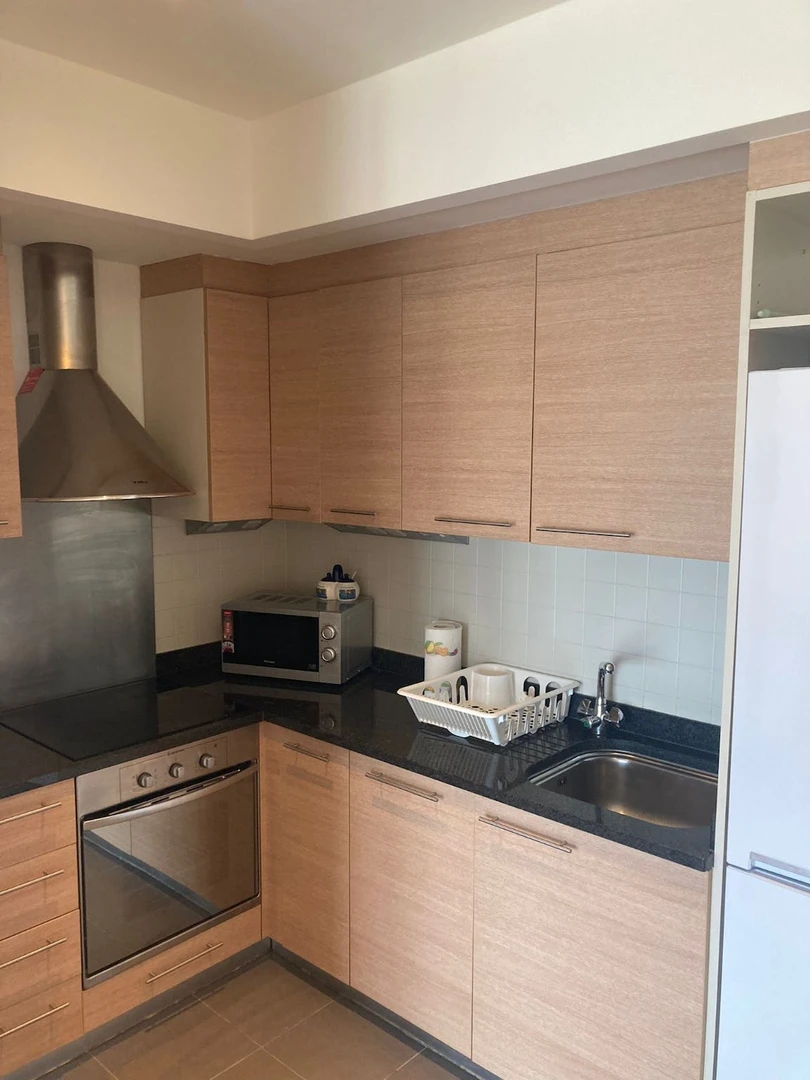 Accommodation with 3 bedrooms in dublin