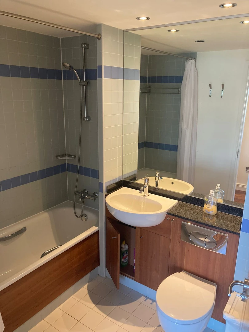 Accommodation with 3 bedrooms in Dublin