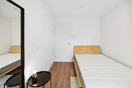 Chambre privée à Waagner-Biro-Straße, Lend, image 2 de 10