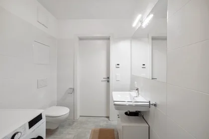 Chambre privée à Waagner-Biro-Straße, Lend, image 3 de 10
