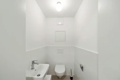 Chambre privée à Waagner-Biro-Straße, Lend, image 4 de 10