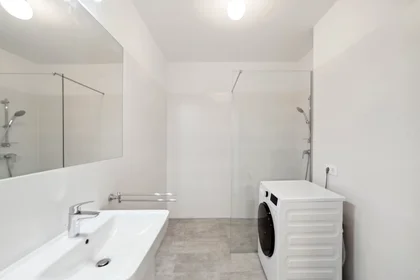 Chambre privée à Waagner-Biro-Straße, Lend, image 5 de 10