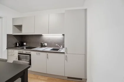 Chambre privée à Waagner-Biro-Straße, Lend, image 6 de 10