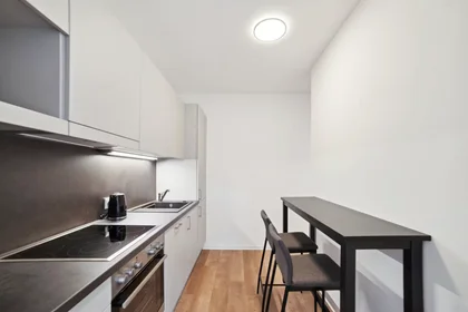 Chambre privée à Waagner-Biro-Straße, Lend, image 7 de 10
