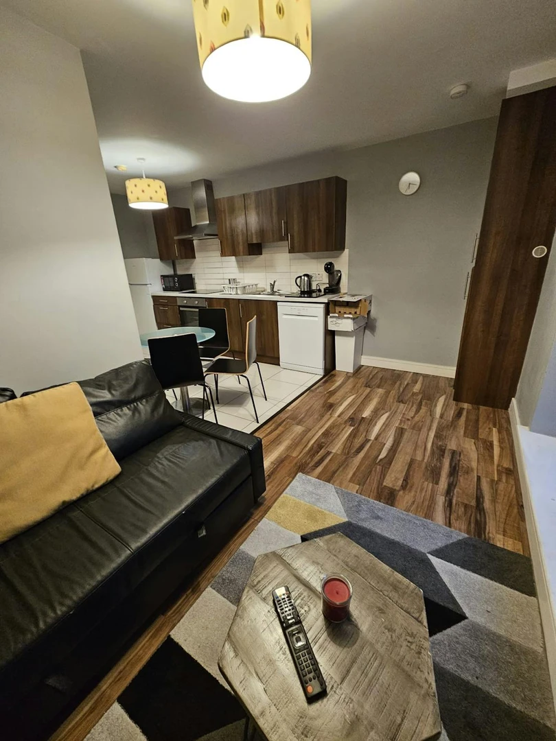 Appartement entièrement meublé à Dublin