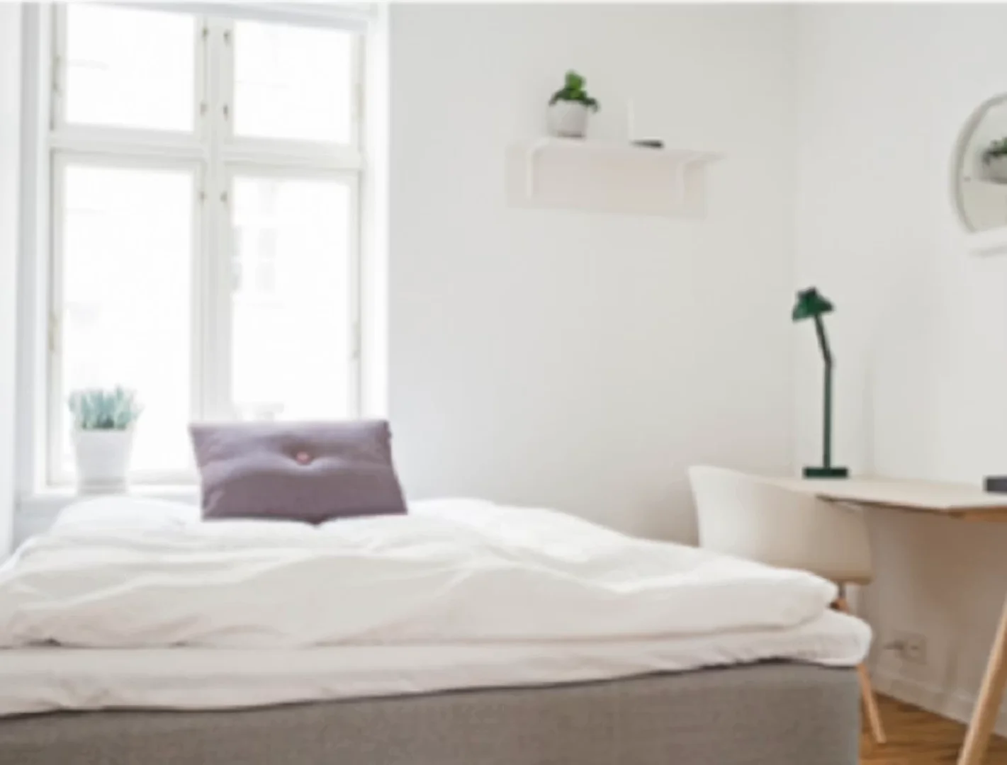 Bezahlbares Zimmer für Studenten mit ausreichender Beleuchtung in 