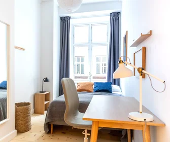 Quarto privado em Nørrebrogade, Nørrebro, imagem 1 de 10