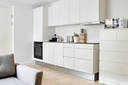 Apartamento inteiro em Fredensgade, Aarhus Centrum, imagem 3 de 10