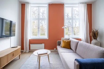 Private room at Seilduksgata, Grünerløkka, image 9 of 10