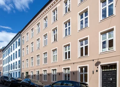 整套公寓 在 Steenstrups gate, Grünerløkka, 10的图像9