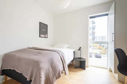Prywatny pokój Vestre Teglgade, København SV, obraz 1 10