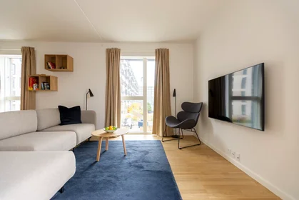 Prywatny pokój Vestre Teglgade, København SV, obraz 7 10