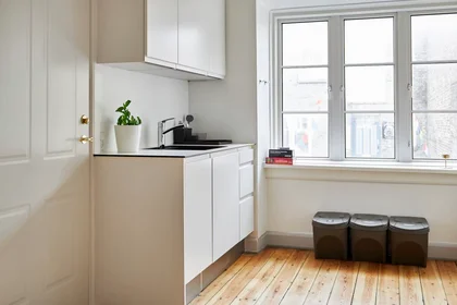 Apartamento inteiro em Fredensgade, Aarhus Centrum, imagem 4 de 10