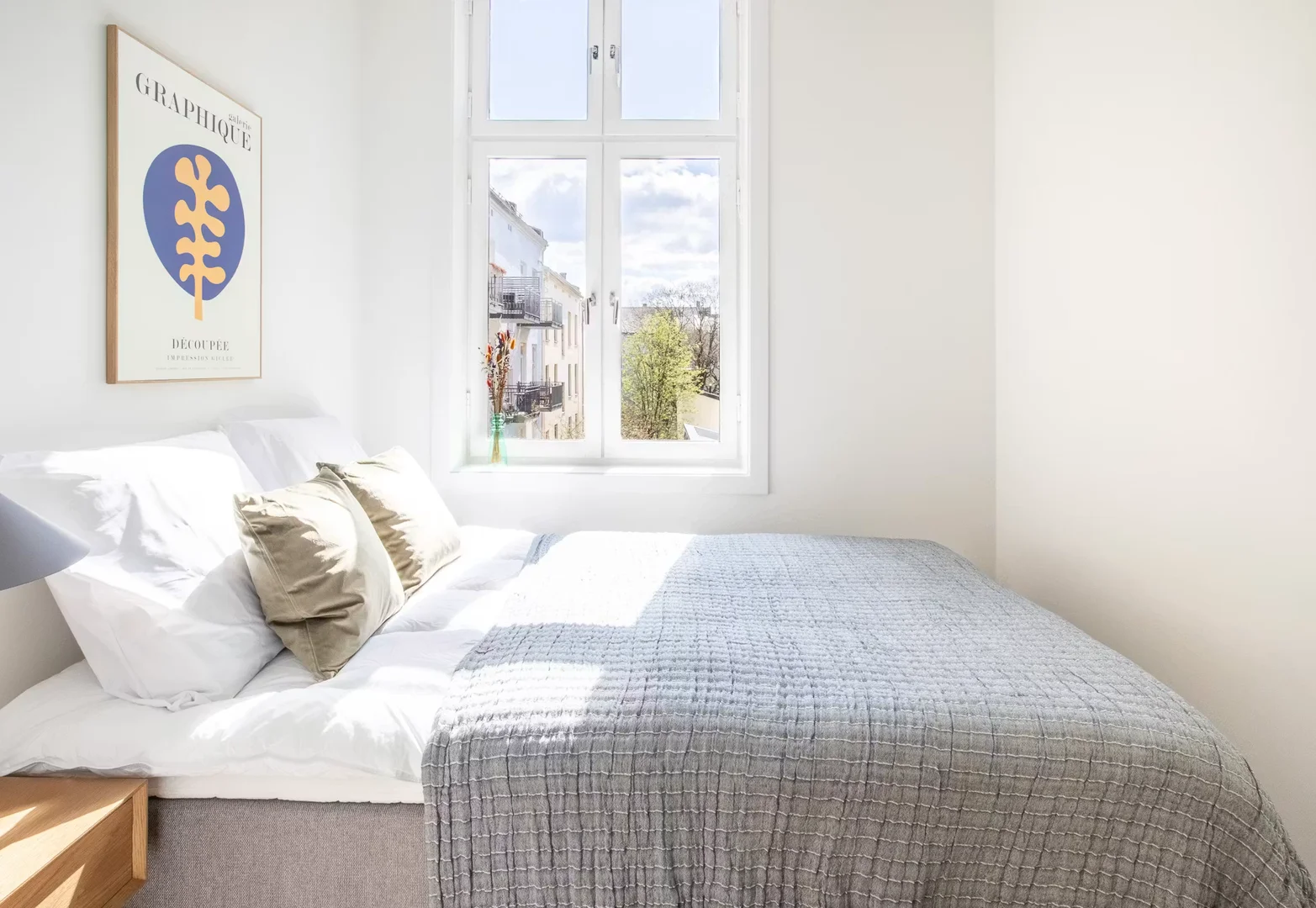 Affordable room for students with ample lighting in 