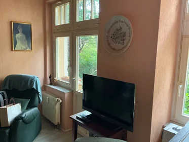Appartamento intero in Traubestraße, Blasewitz, immagine 7 di 10