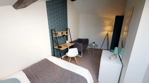 Alquiler de habitación en piso compartido en Lyon