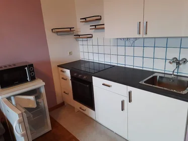 Apartamento inteiro em Kremplstraße, Kleinmünchen, imagem 1 de 8