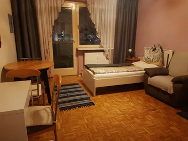 Apartamento inteiro em Kremplstraße, Kleinmünchen, imagem 3 de 8